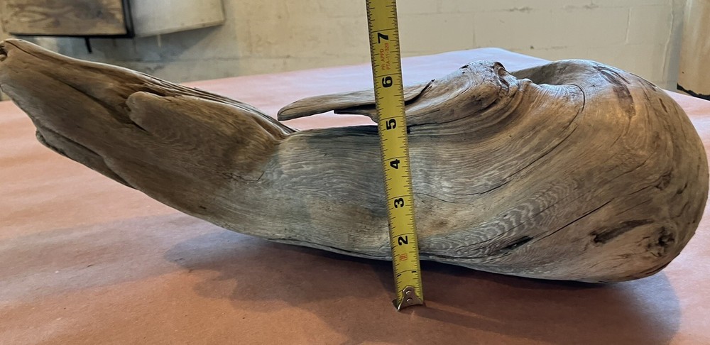 Beautiful Driftwood
