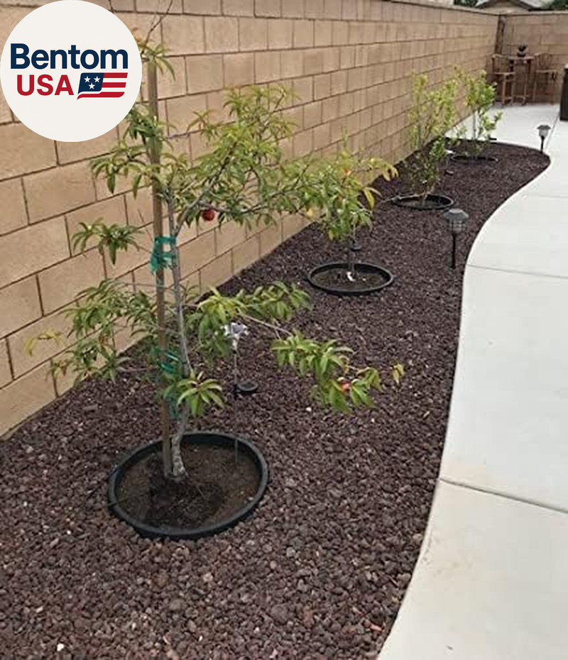 6 Pack 20" Tree & Shrub Watering Rings – Deep Root Irrigation Basin with Solid O