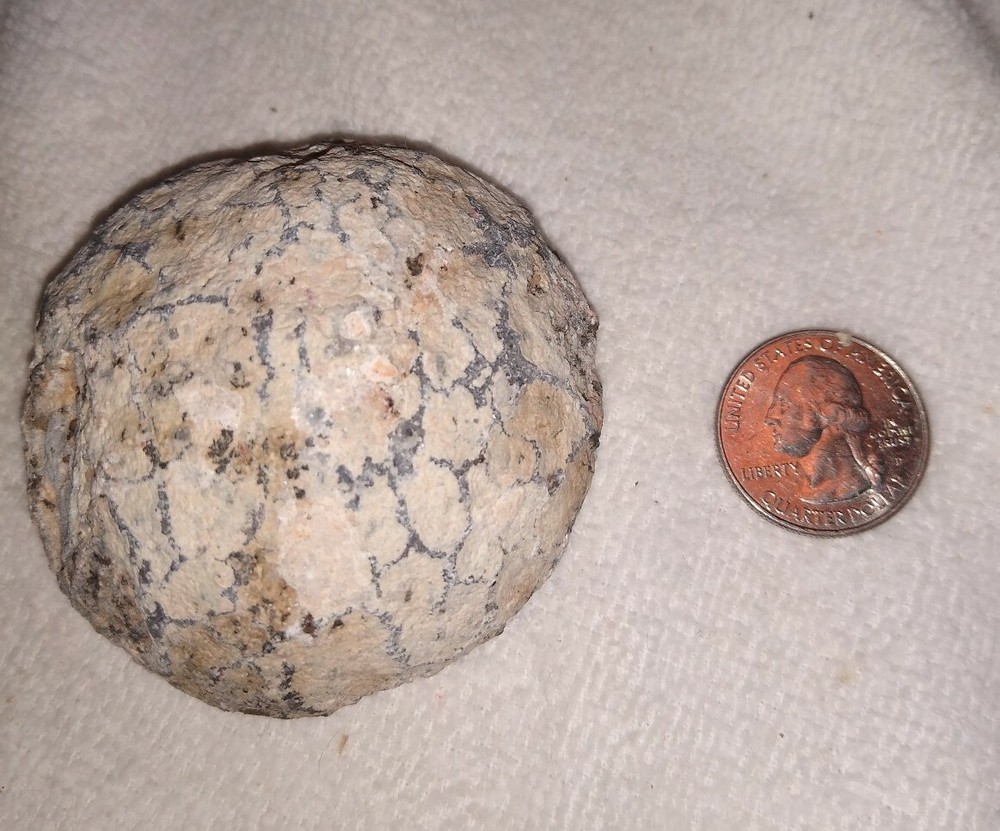 Pig Nose Geode