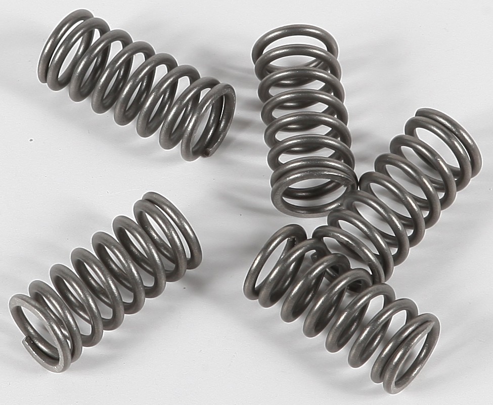 EBC Clutch Spring Set CSK77