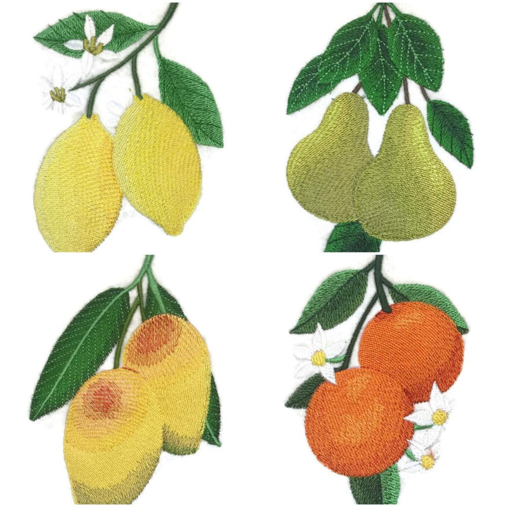 Beyond Vision Custm Fruit Pomegranate Fruit Accent Embroidered Iron on/Sew Patch
