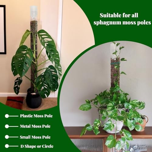 Adjustable Moss Pole Watering Dripper Pro - Self Watering Planter 2 White