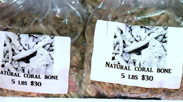 5 LB NATURAL CORAL BONE