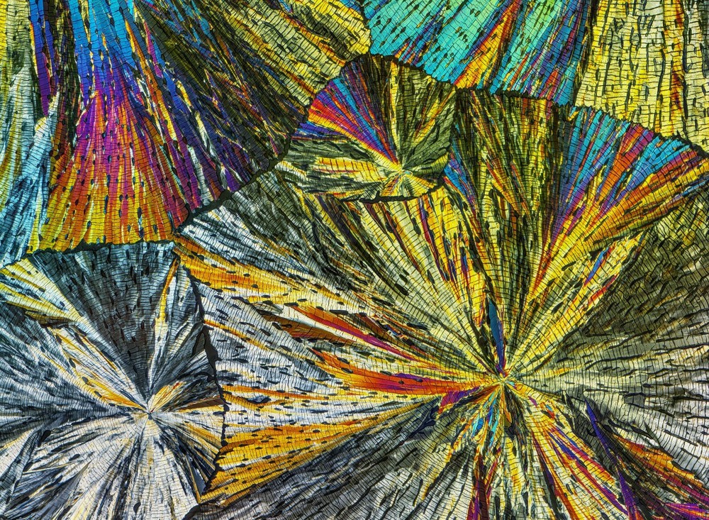 Microscope slide for polarization, PREGNENOLONE