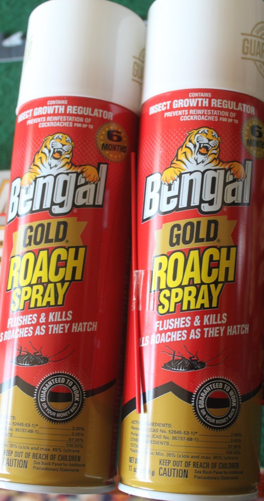 8 Roach Killing Items, Bengal Gold, Black Flag Roach Motel, Combat Source Kill