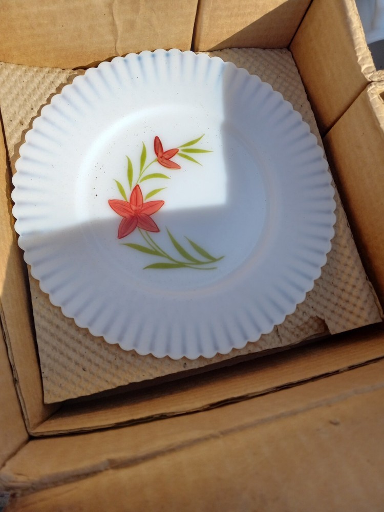 MacBeth-Evans ~ Monax Petalware ~ 15 Piece Set ~ Florette Dinnerware New In Box