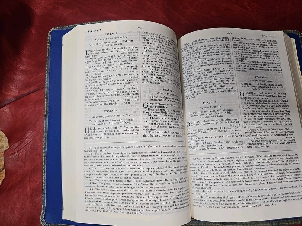 Criswell Study Bible Rebound with Liner Cowhide Nice! Stitched Parameter Nice!