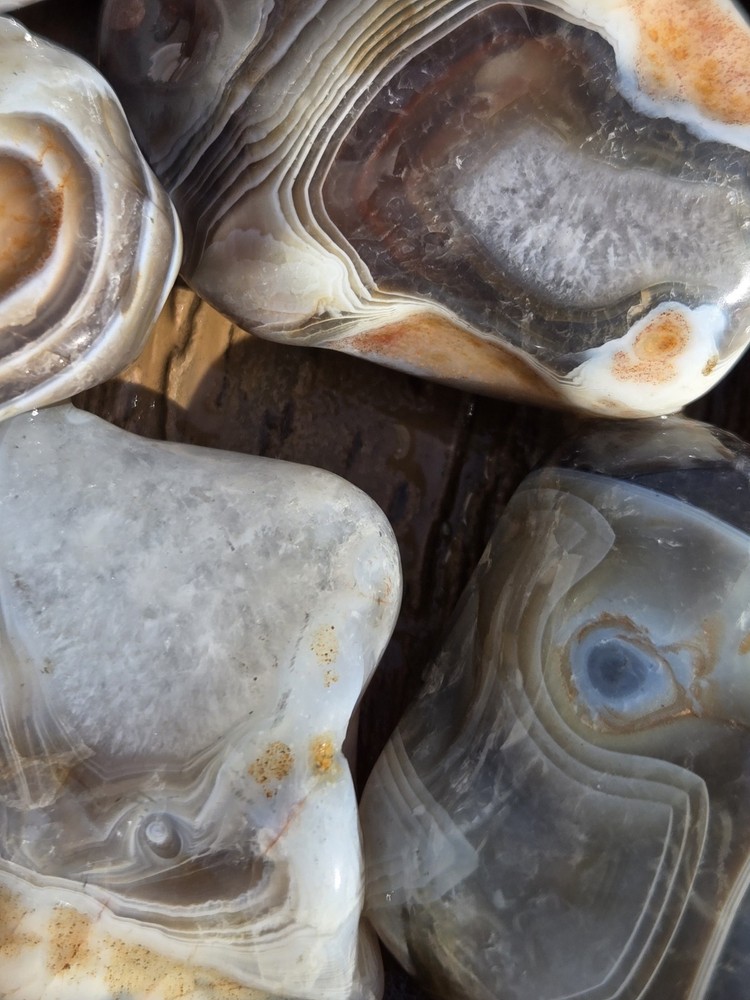 Botswana Agate Selects - WILD ONES - Rough, Natural, Not Polished A+ Grade