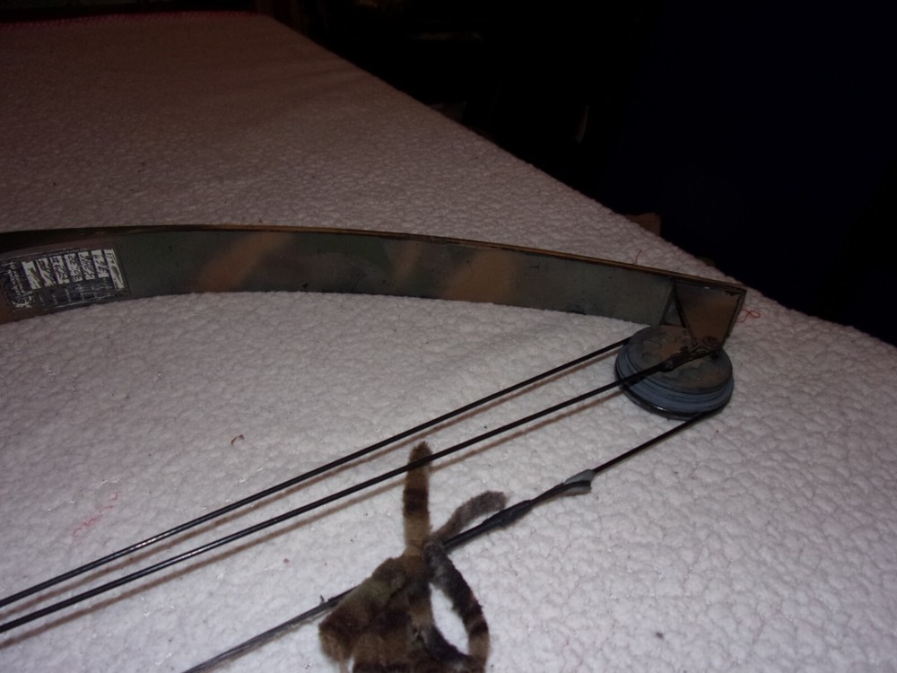 American Archery Wood Compound Bow