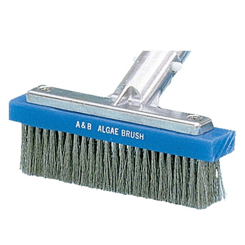 6.25in Algae Brush, 5000