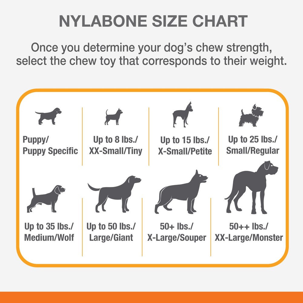 Nylabone Dura Chew Monster Bone