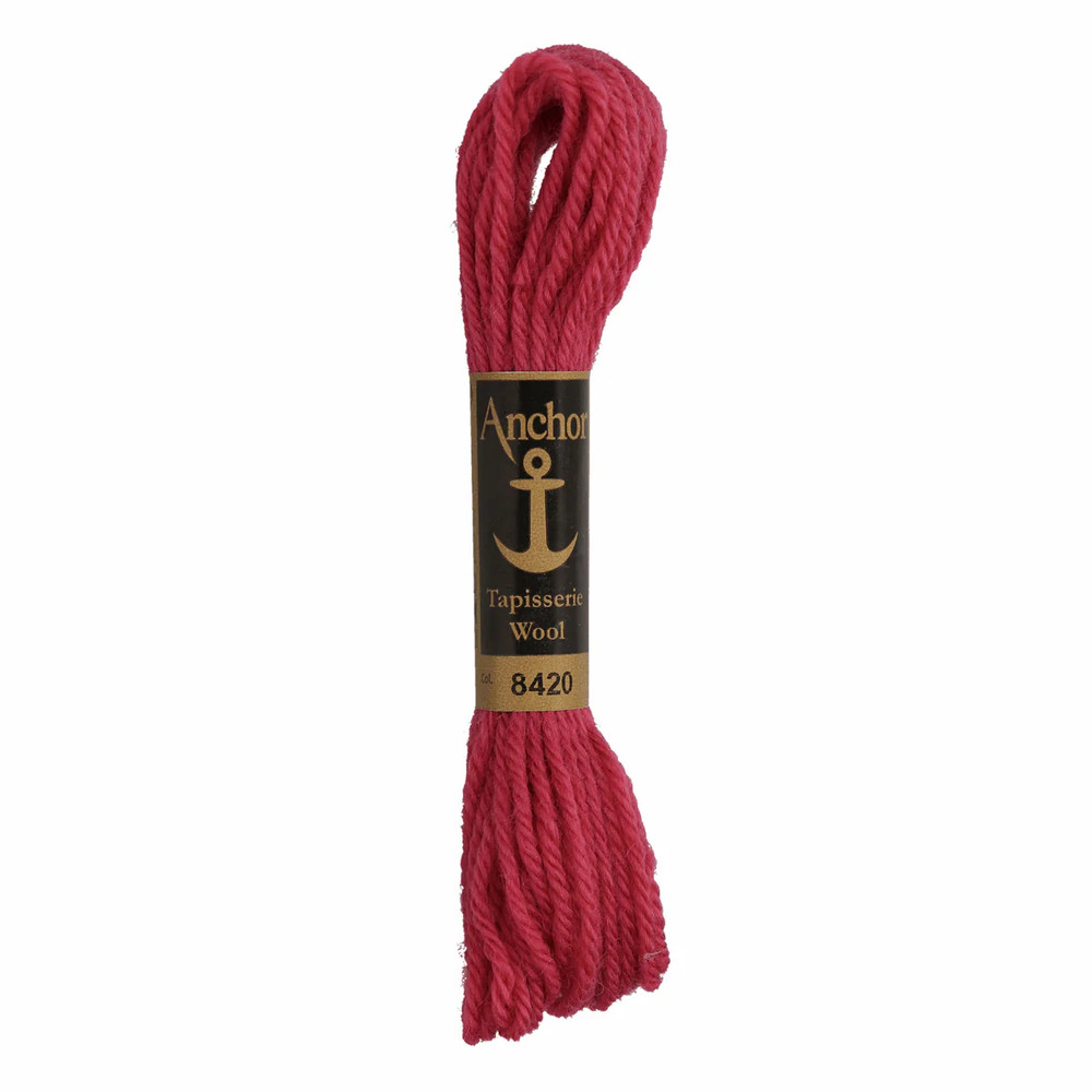 Anchor Tapestry Wool - 8420 - 1 x 10m