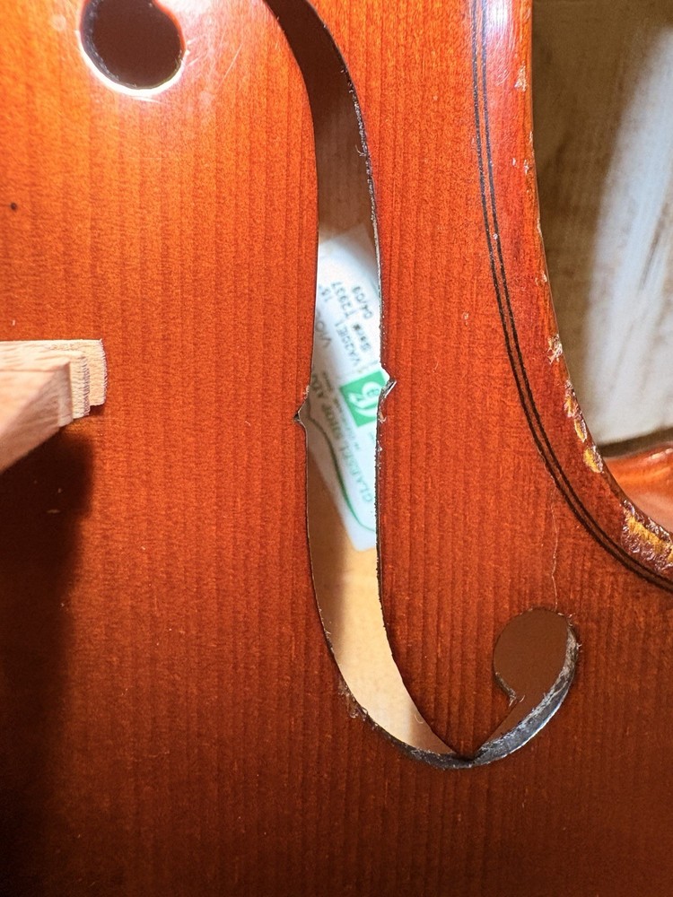 Voila Size 14 Student