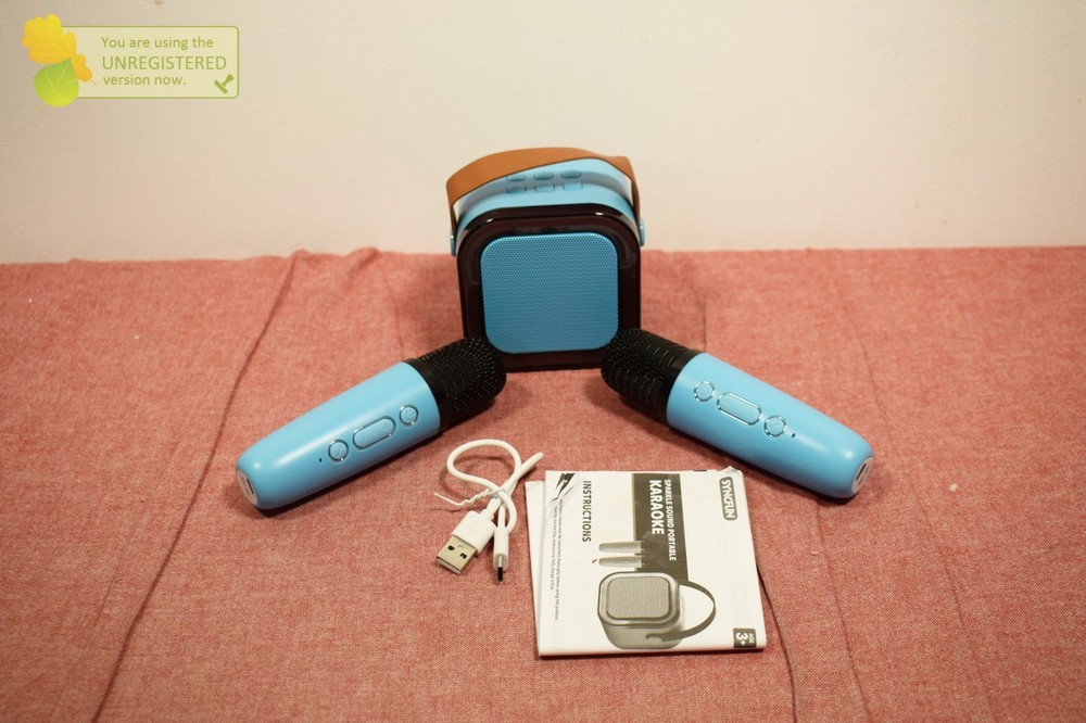 Mini Karaoke Machine with 2 Wireless Microphones