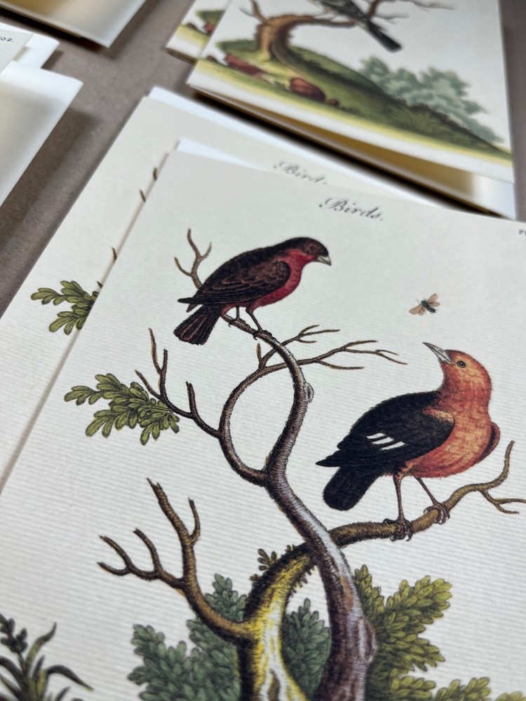 Cavallini & Co. Birds Stationery Set
