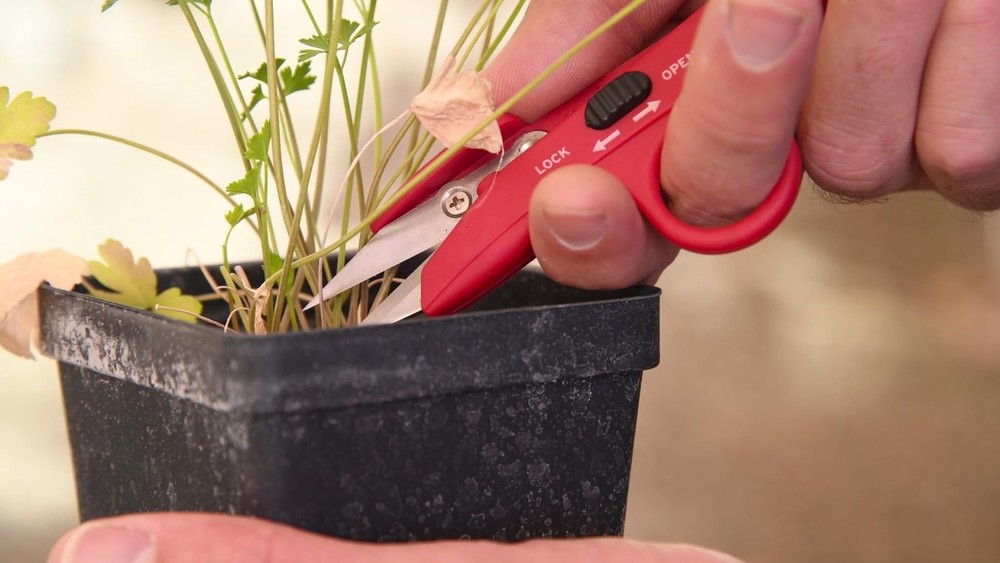 FS 4110 Hydroponic Finger Micro Snips , Red