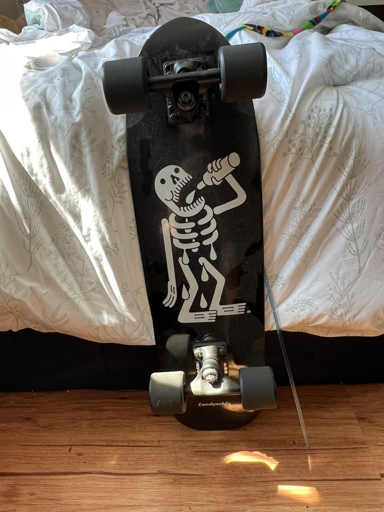 longboard skateboard cruiser