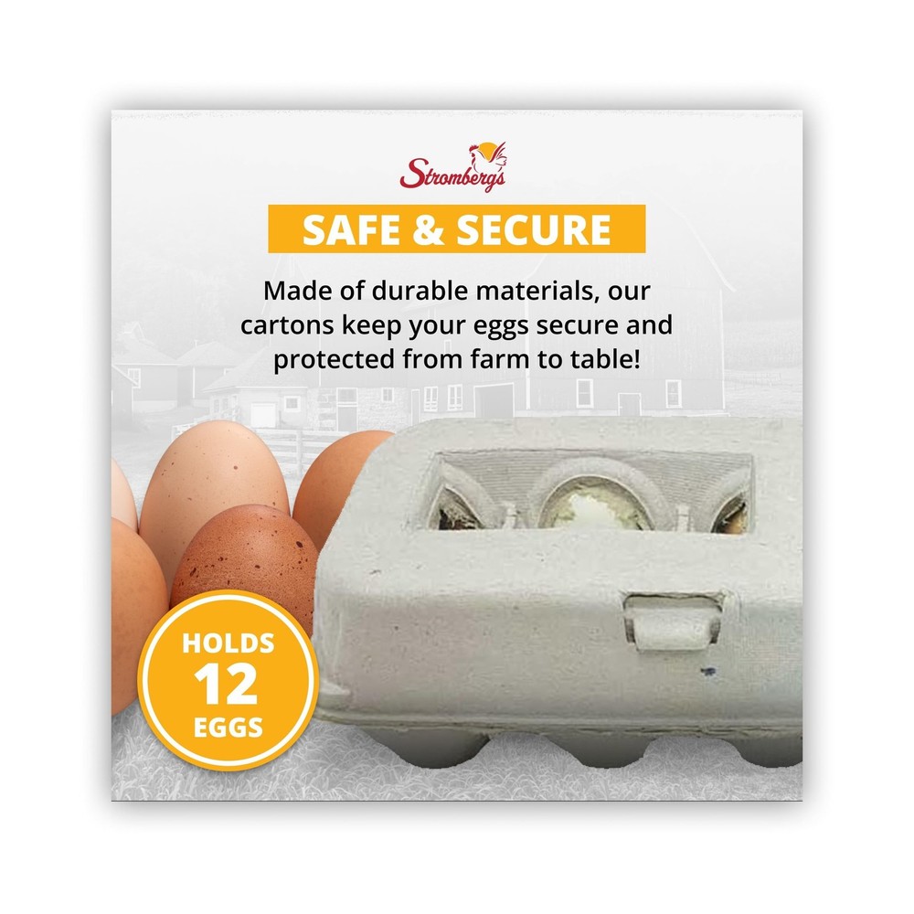 Stromberg's Large Blank Egg Cartons, Bulk Pack for Large Eggs, Perfect for Cu...