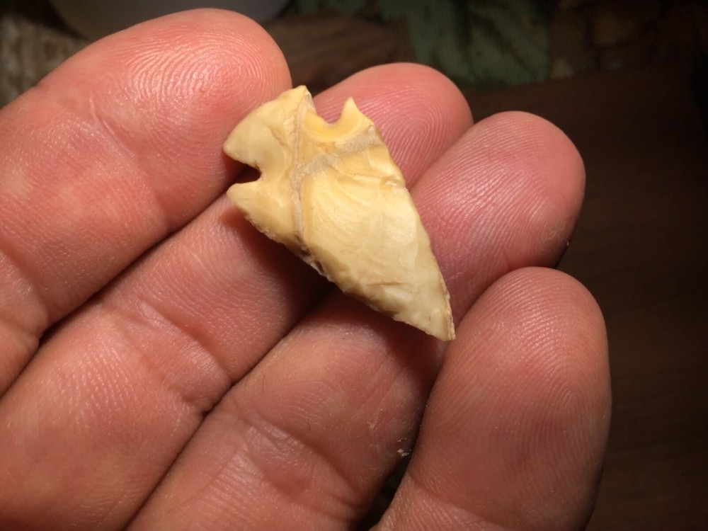 Modern Dovetail, Pedernales, and Bird Points