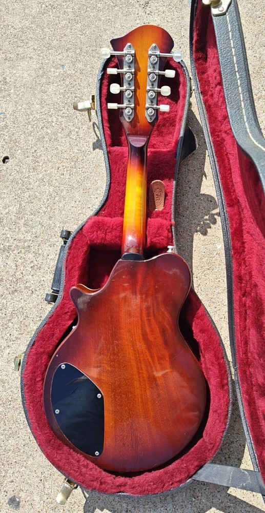 Custom P Mandolin with Case