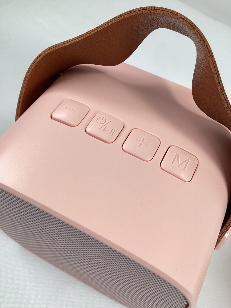 Portable Karaoke Machine with 2 Wireless Microphones Mini Bluetooth Speaker