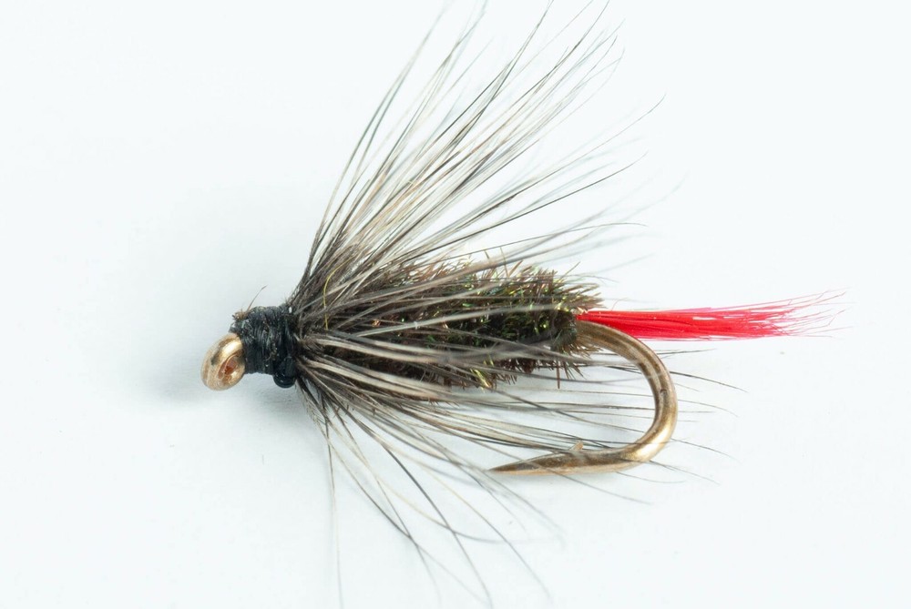 Gray Hackle Wet Fly, 6-Pack
