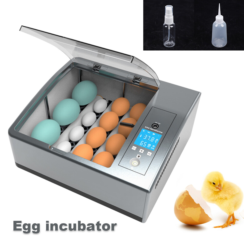 Automatic 16 Egg Incubator with Temperature Control and Turner - US