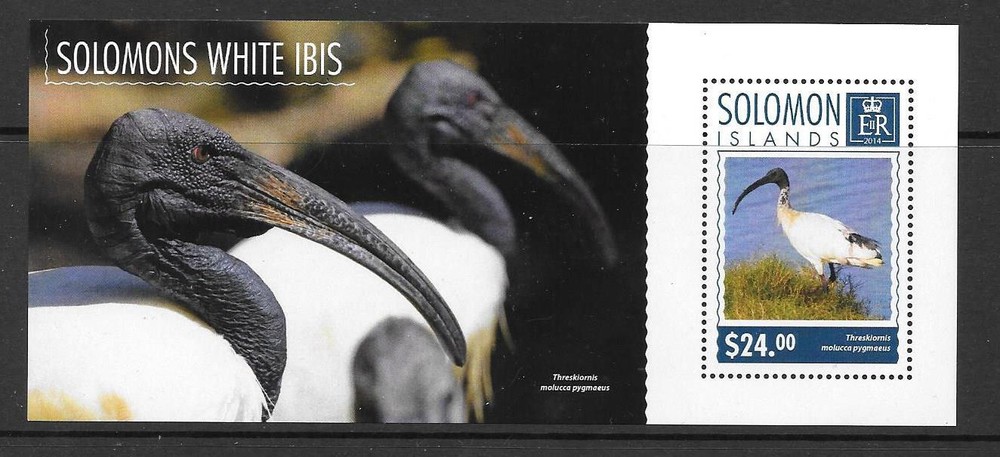 SOLOMON ISLANDS 2014 IBIS (2) MNH