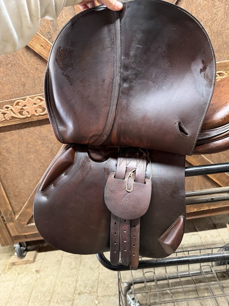 Antares Evolution Close Contact Jump Saddle 17" MW