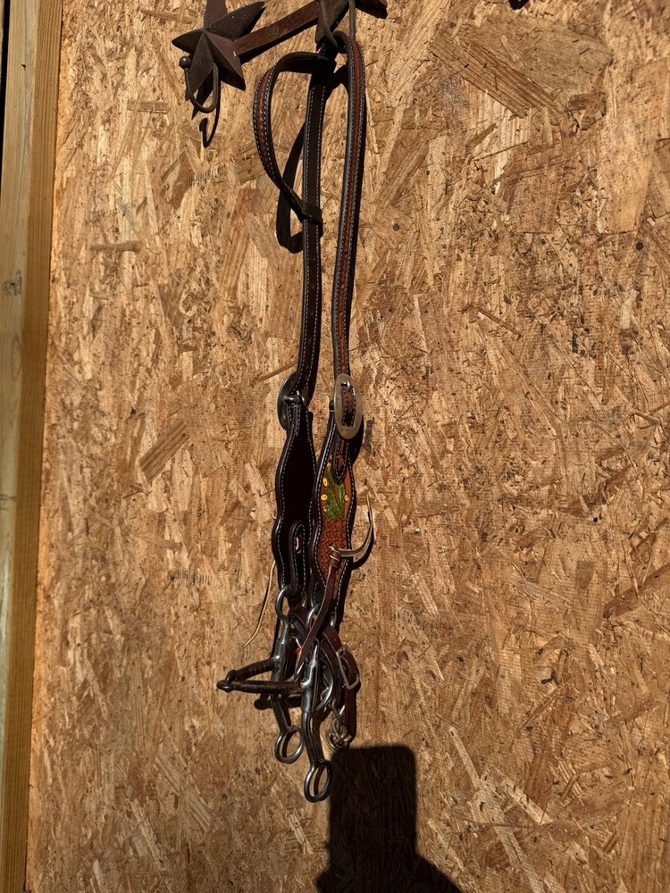USED PROFESSIONALS CHOICE CACTUS HEADSTALL WITH ARGENTINE SNAFFLE BIT