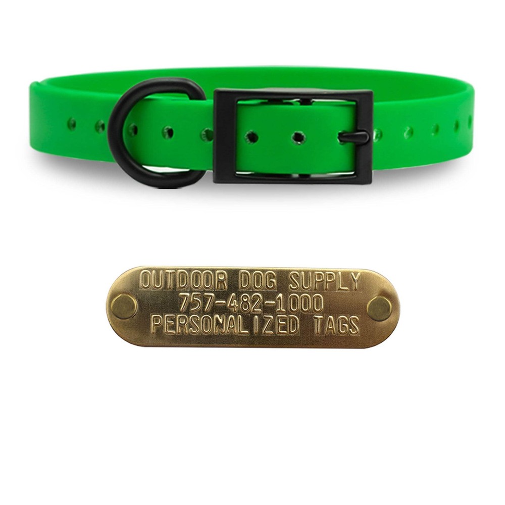 1" Solid SoftFlex Beta D Ring Dog Collar with Brass Name Plate