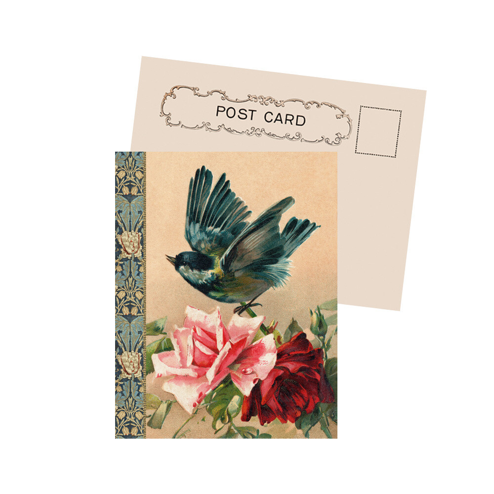 Bird With Roses By Klein New Antique Image Postcard