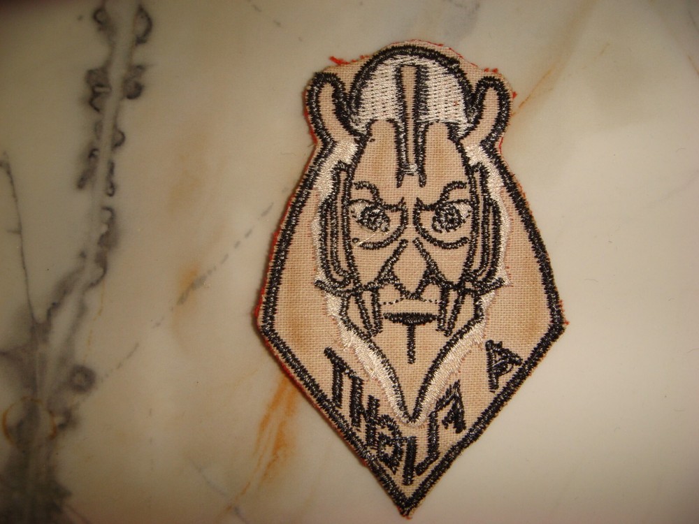 USAF A FLIGHT 431st FIGHTER INTERCEPTOR SQUADRON " RED DEVIL " PATCH