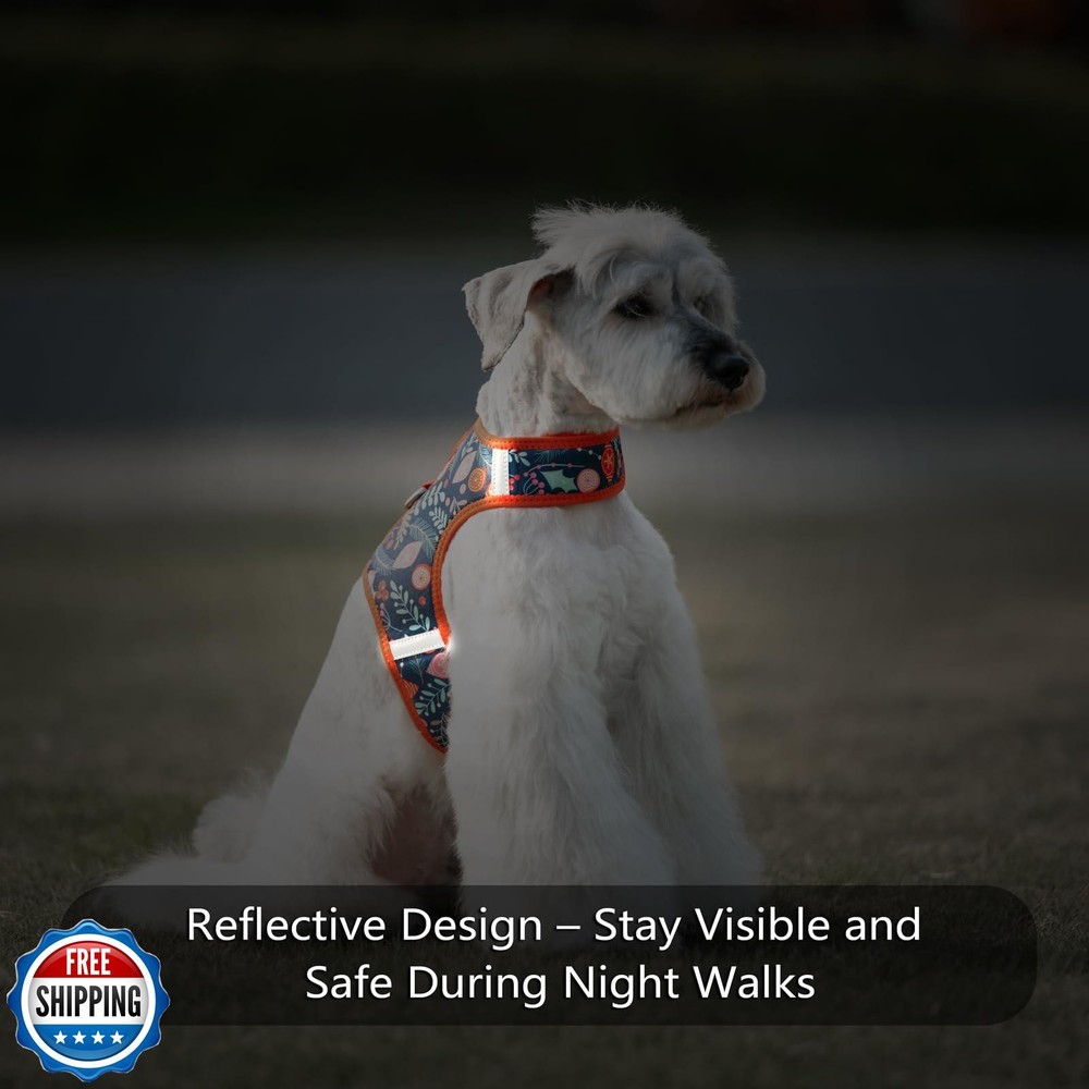 Sunraymascota Dog Harness for Small Sized Dog,Hook-and-Loop Easy