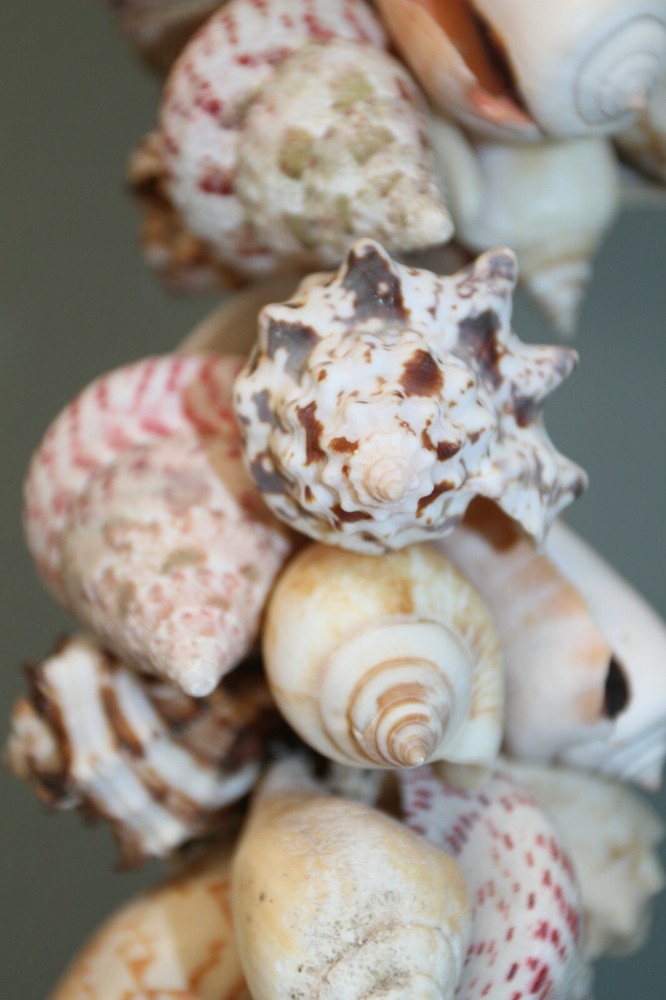 SHELL MOBILE, Beach Home Deck Decor, Hanging Shell Decor, Bath Decor, G-04