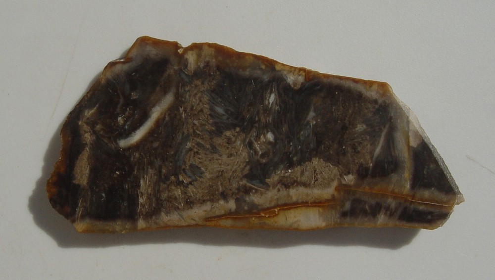 Feather Agate Lapidary Slab Indonesia T1237