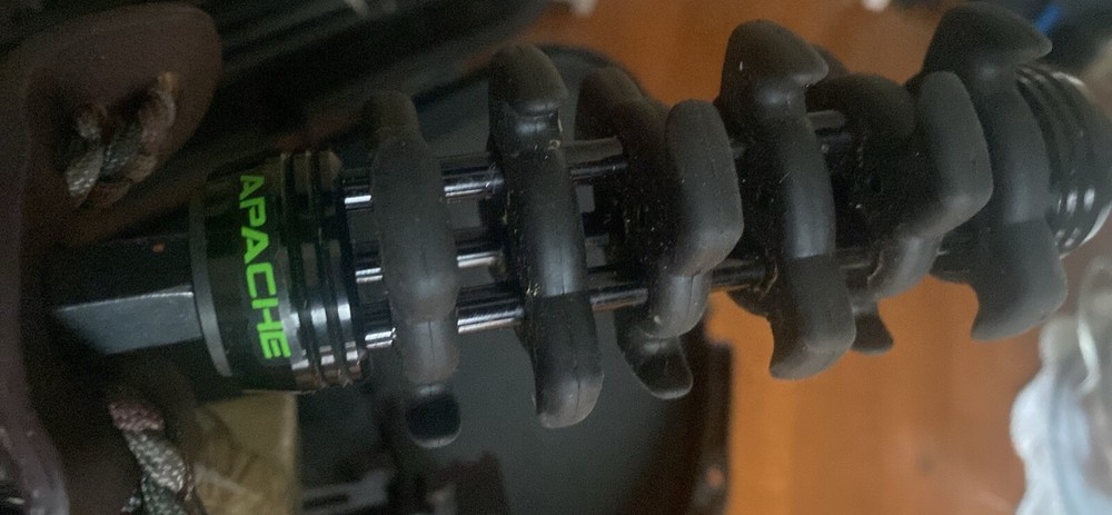 Bear Apprentice 2 Compound Bow