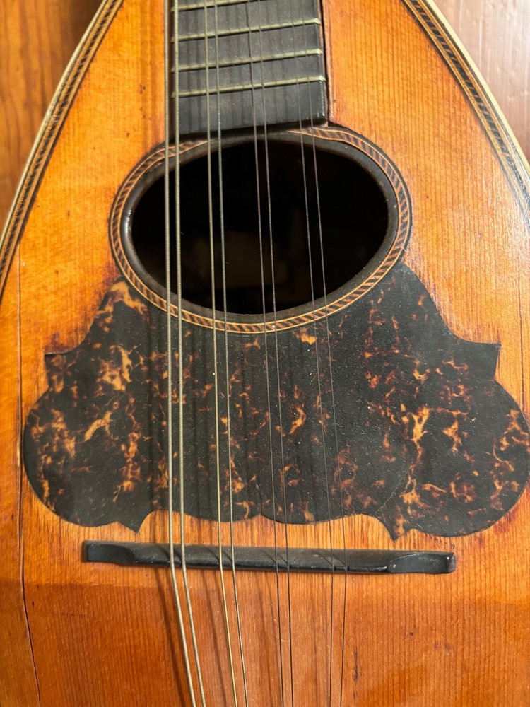 Washburn Bowlback Mandolin 1907