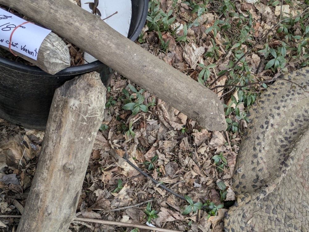 Vermont Made Beaver Chew Logs