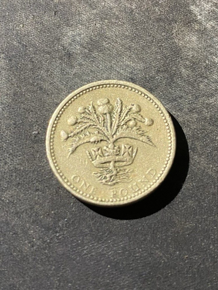 Great British Old Pound Coins (5)