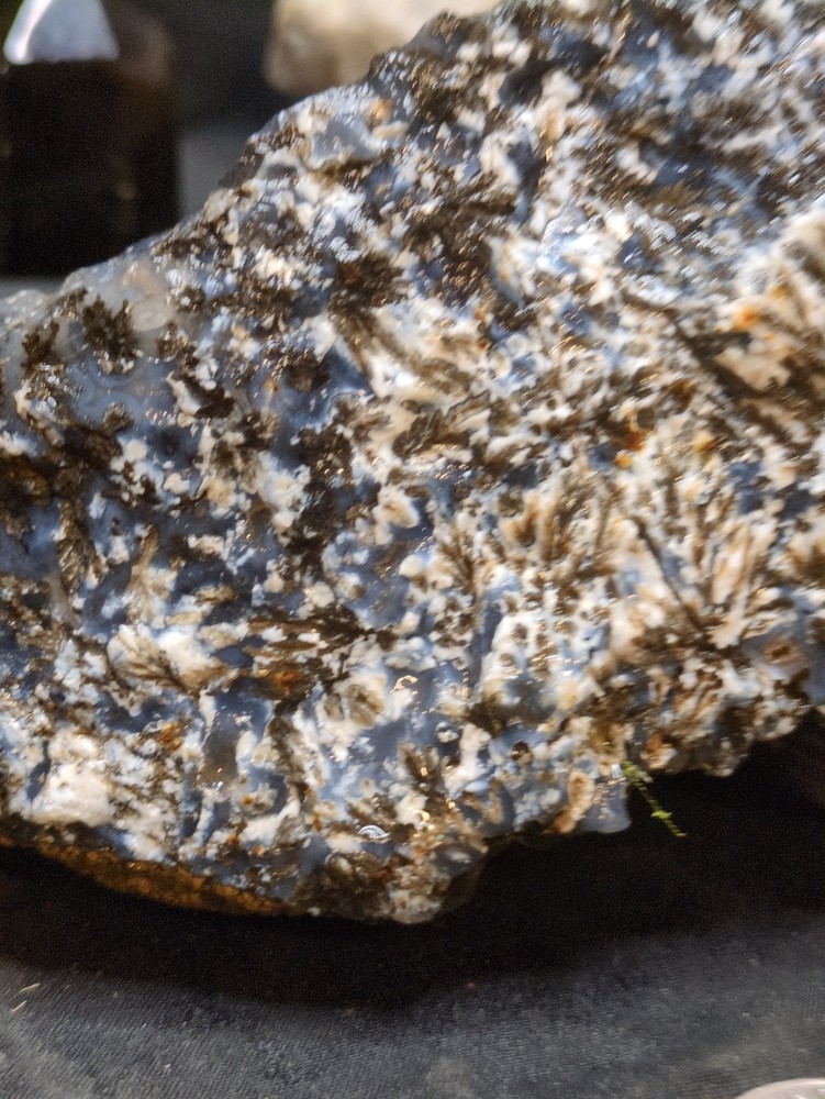 Black & White Dendric Specimen Natural Form (1lb 9oz)