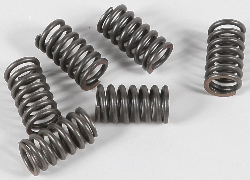 EBC Clutch Spring Set CSK31