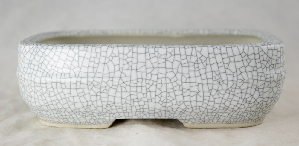 Fine Rectangular Cactus & Succulent, Mame Bonsai Pot + Mesh 5.75"x 4.25"x 1.5"