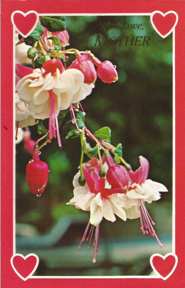 With Love, Mother (V)