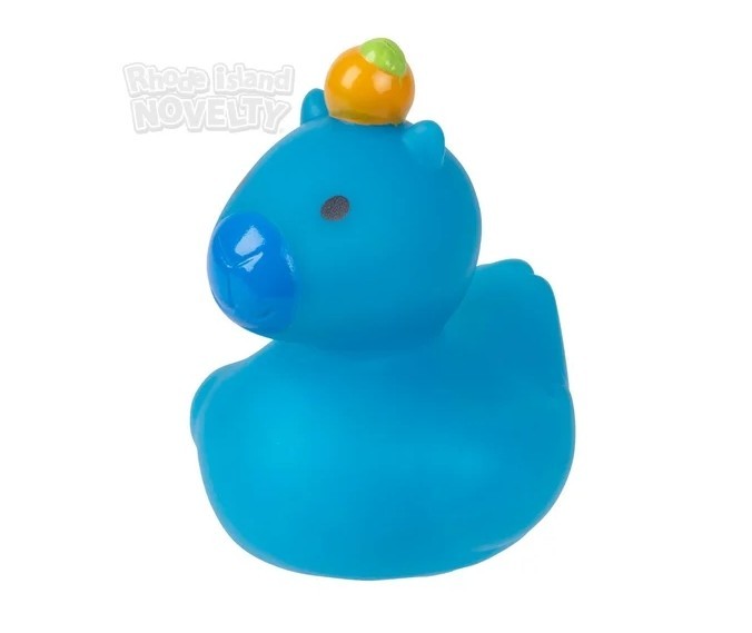 2" Capybara Rubber Ducks - 12 Piece Assortment