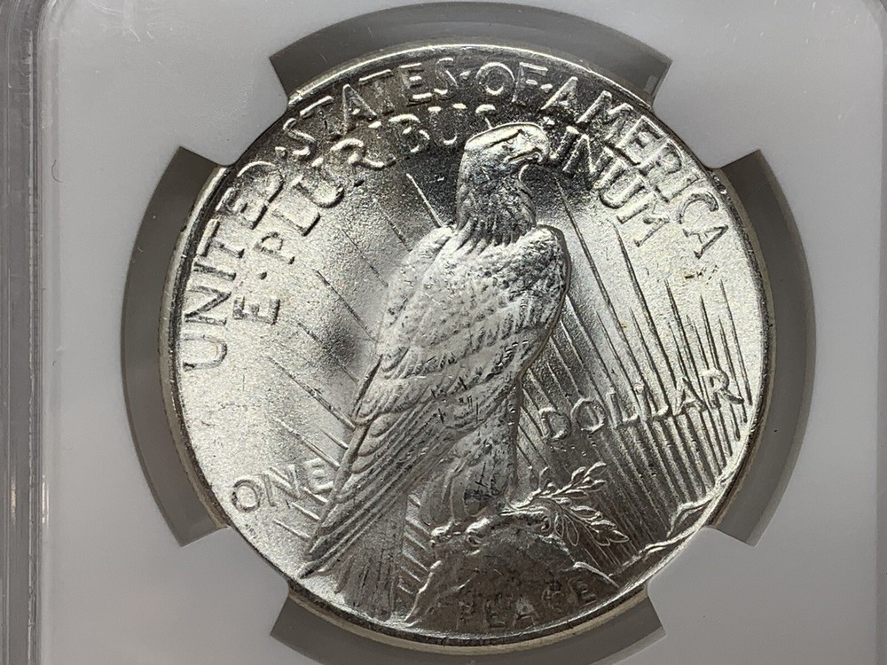1925-P 1$ SILVER PEACE DOLLAR BLAST-WHITE NG MS-65