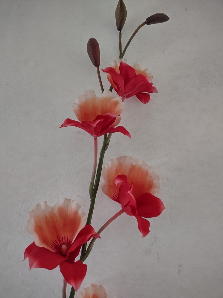 Artificial miltoniopsis orchid stem CORAL/PEACH