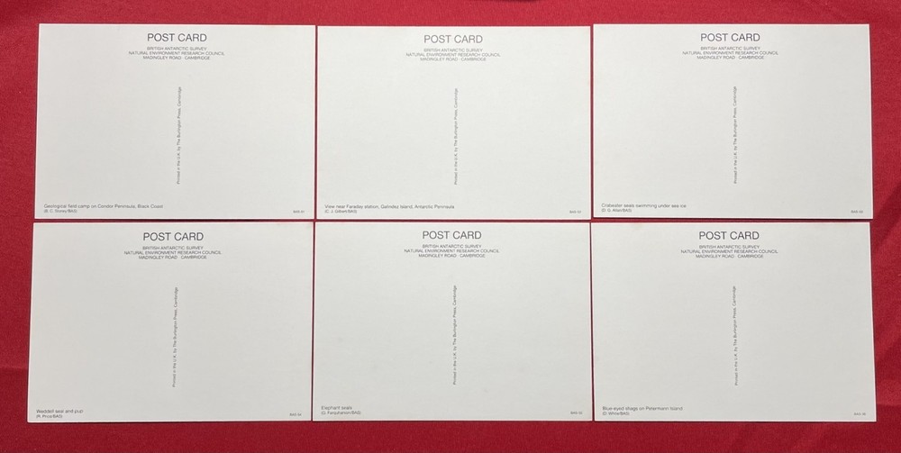 56 x British Antarctic Territory BAS Postcards