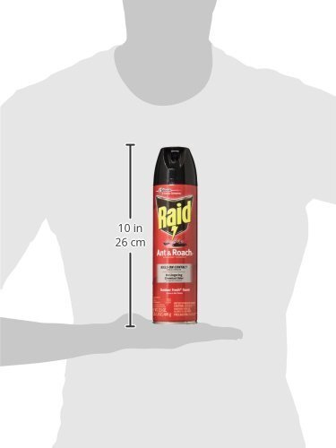 Raid Ant & Roach Killer Outdoor Fresh, 17.5 OZ (Pack - 1)