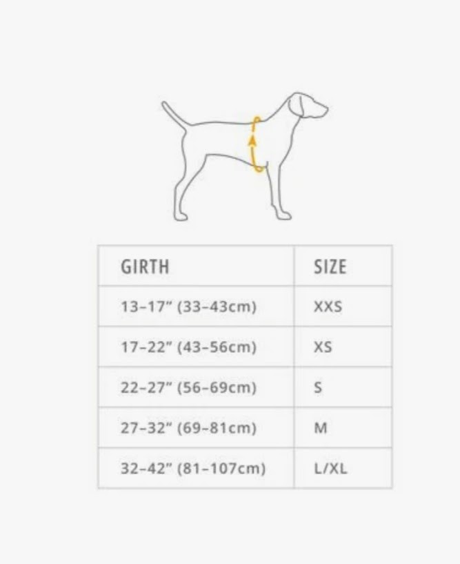 Ruffwear Web Master™ Dog Harness with Handle Red Currant